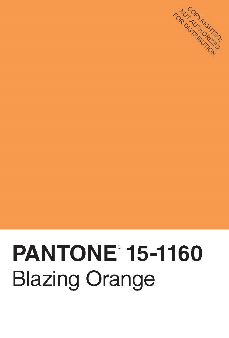 Pantone 50 Postcards