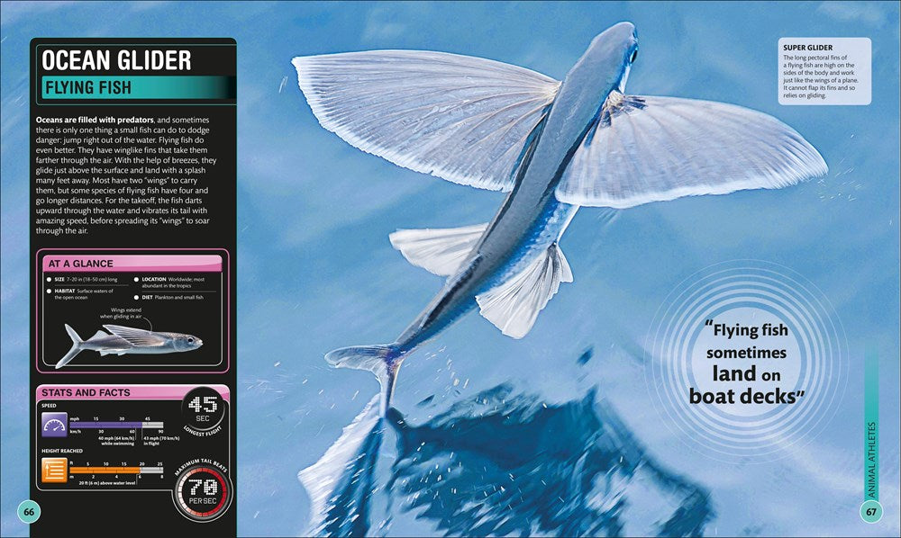 Super Shark Encyclopedia: And Other Creatures of the Deep (DK Super Nature Encyclopedias)
