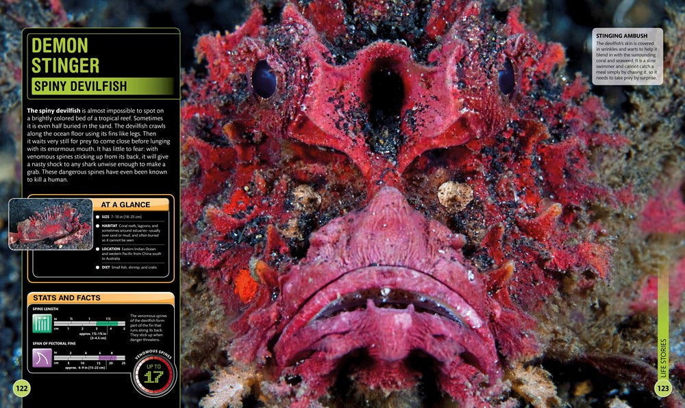 Super Shark Encyclopedia: And Other Creatures of the Deep (DK Super Nature Encyclopedias)