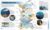Super Shark Encyclopedia: And Other Creatures of the Deep (DK Super Nature Encyclopedias)