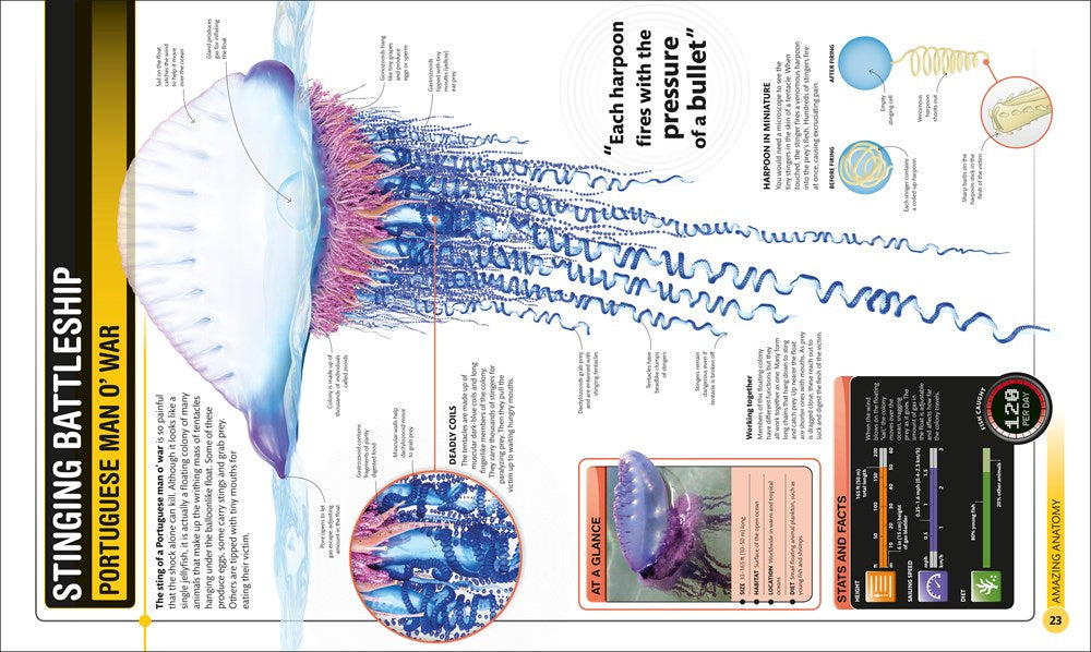 Super Shark Encyclopedia: And Other Creatures of the Deep (DK Super Nature Encyclopedias)