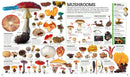 Picturepedia, Second Edition: An Encyclopedia on Every Page