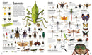 Picturepedia, Second Edition: An Encyclopedia on Every Page