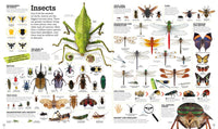 Picturepedia, Second Edition: An Encyclopedia on Every Page