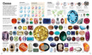 Picturepedia, Second Edition: An Encyclopedia on Every Page