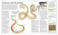 Snake: The Essential Visual Guide