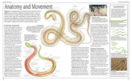 Snake: The Essential Visual Guide