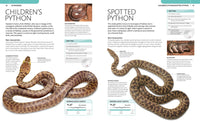 Snake: The Essential Visual Guide