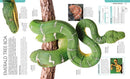 Snake: The Essential Visual Guide