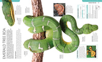 Snake: The Essential Visual Guide