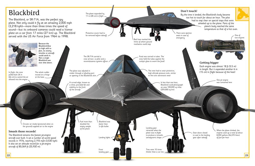 The Big Book of Airplanes (DK Big Books)