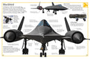 The Big Book of Airplanes (DK Big Books)