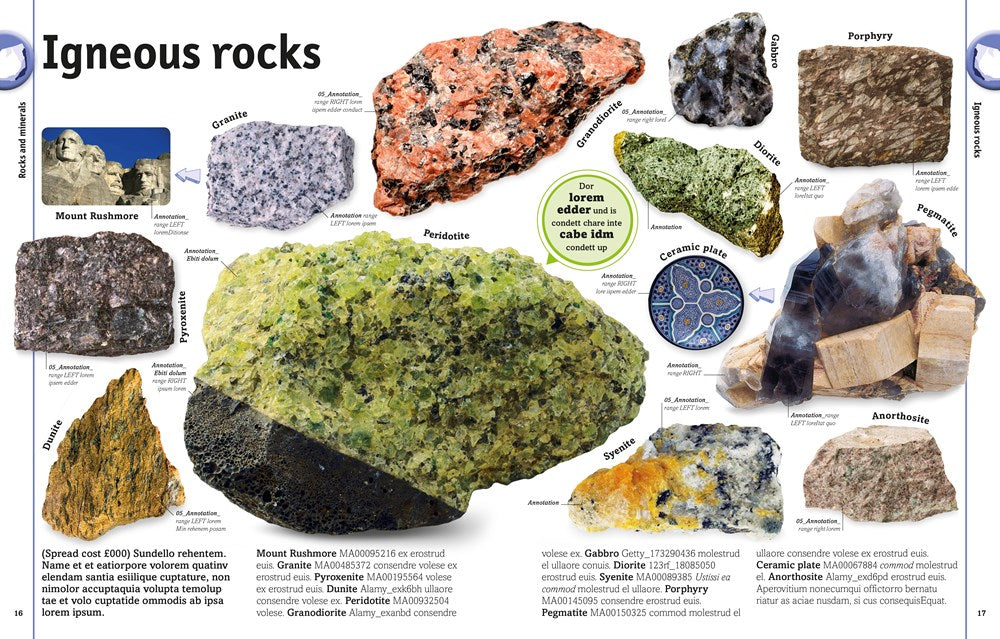 The Rock and Gem Book: And Other Treasures of the Natural World (DK Our World in Pictures)