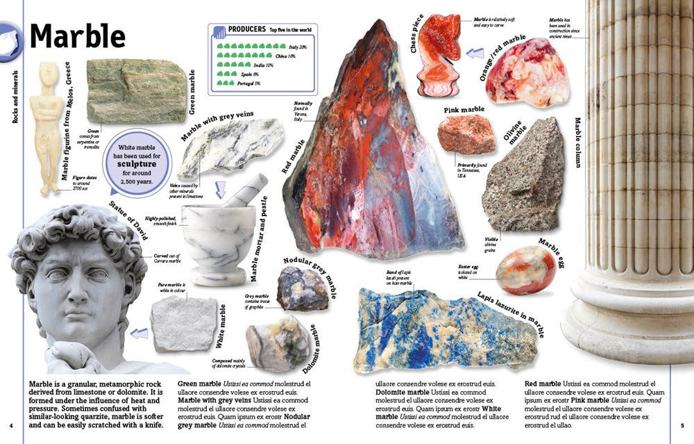 The Rock and Gem Book: And Other Treasures of the Natural World (DK Our World in Pictures)