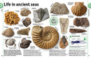 The Rock and Gem Book: And Other Treasures of the Natural World (DK Our World in Pictures)