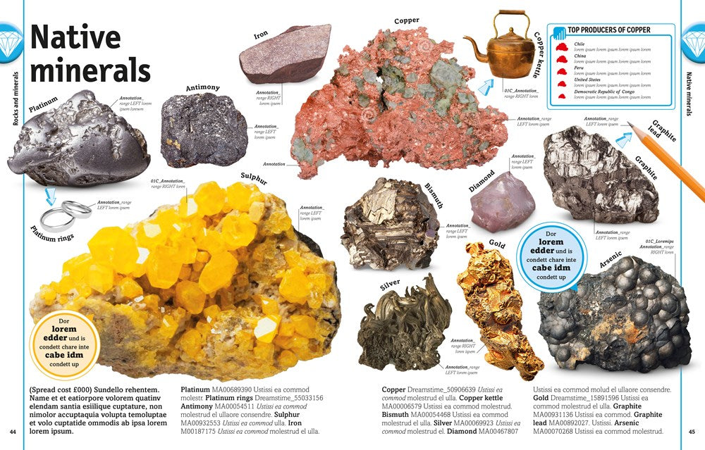 The Rock and Gem Book: And Other Treasures of the Natural World (DK Our World in Pictures)