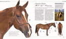 The Horse Encyclopedia (DK Pet Encyclopedias)