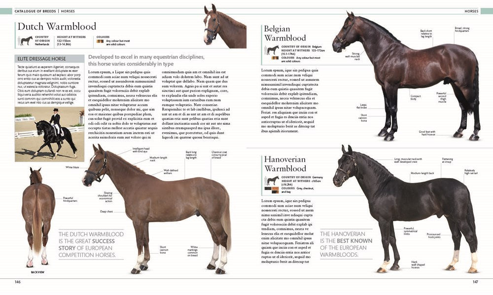 The Horse Encyclopedia (DK Pet Encyclopedias)