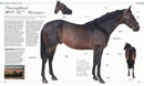 The Horse Encyclopedia (DK Pet Encyclopedias)