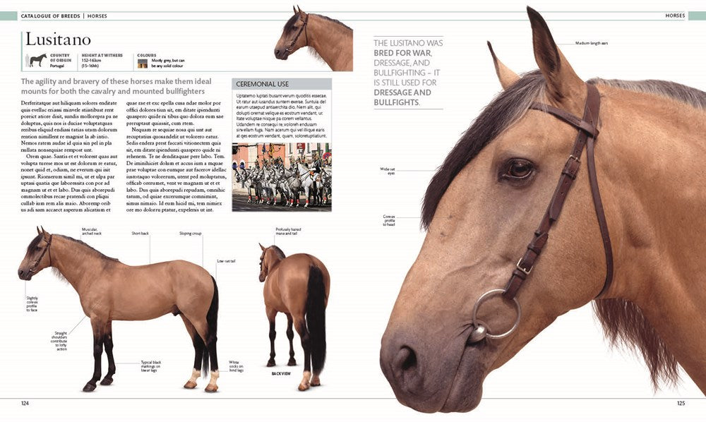 The Horse Encyclopedia (DK Pet Encyclopedias)