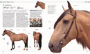 The Horse Encyclopedia (DK Pet Encyclopedias)