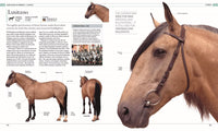 The Horse Encyclopedia (DK Pet Encyclopedias)