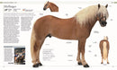 The Horse Encyclopedia (DK Pet Encyclopedias)