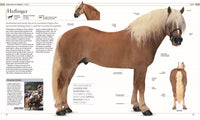 The Horse Encyclopedia (DK Pet Encyclopedias)