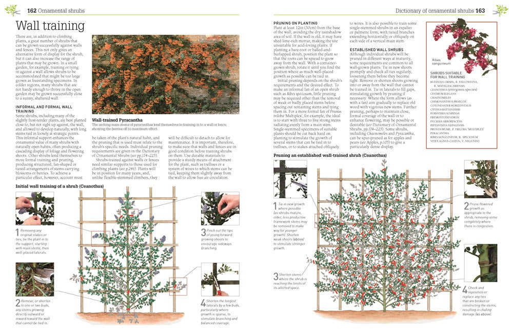 Pruning and Training, Revised New Edition