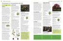 Pruning and Training, Revised New Edition