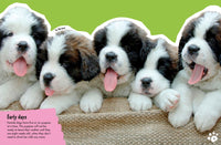 The Everything Book of Dogs and Puppies