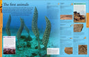Dinosaurs: A Visual Encyclopedia, 2nd Edition (DK Children's Visual Encyclopedias)