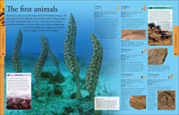 Dinosaurs: A Visual Encyclopedia, 2nd Edition (DK Children's Visual Encyclopedias)