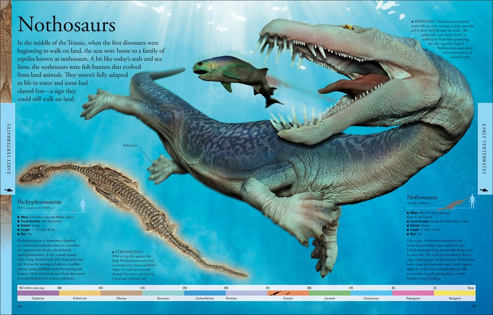 Dinosaurs: A Visual Encyclopedia, 2nd Edition (DK Children's Visual Encyclopedias)