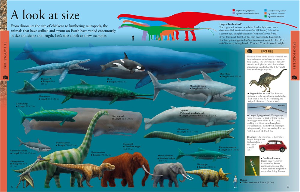 Dinosaurs: A Visual Encyclopedia, 2nd Edition (DK Children's Visual Encyclopedias)