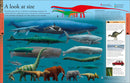 Dinosaurs: A Visual Encyclopedia, 2nd Edition (DK Children's Visual Encyclopedias)