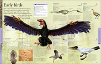 Dinosaurs: A Visual Encyclopedia, 2nd Edition (DK Children's Visual Encyclopedias)