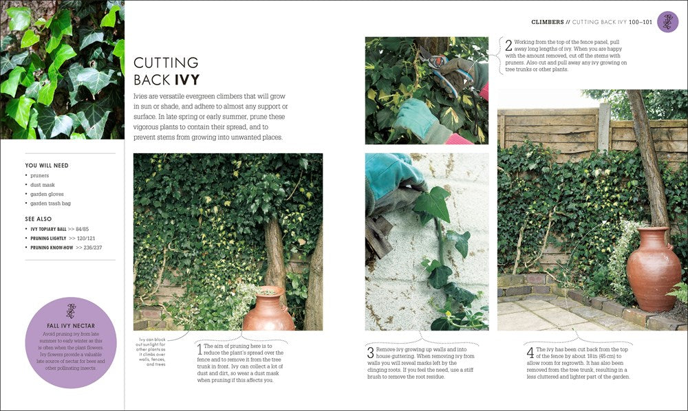 Beginner Gardening Step by Step