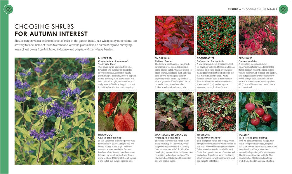 Beginner Gardening Step by Step