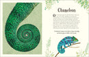 An Anthology of Intriguing Animals