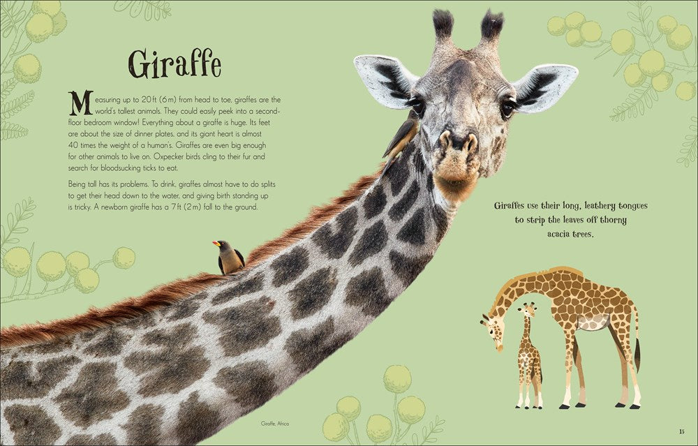 An Anthology of Intriguing Animals