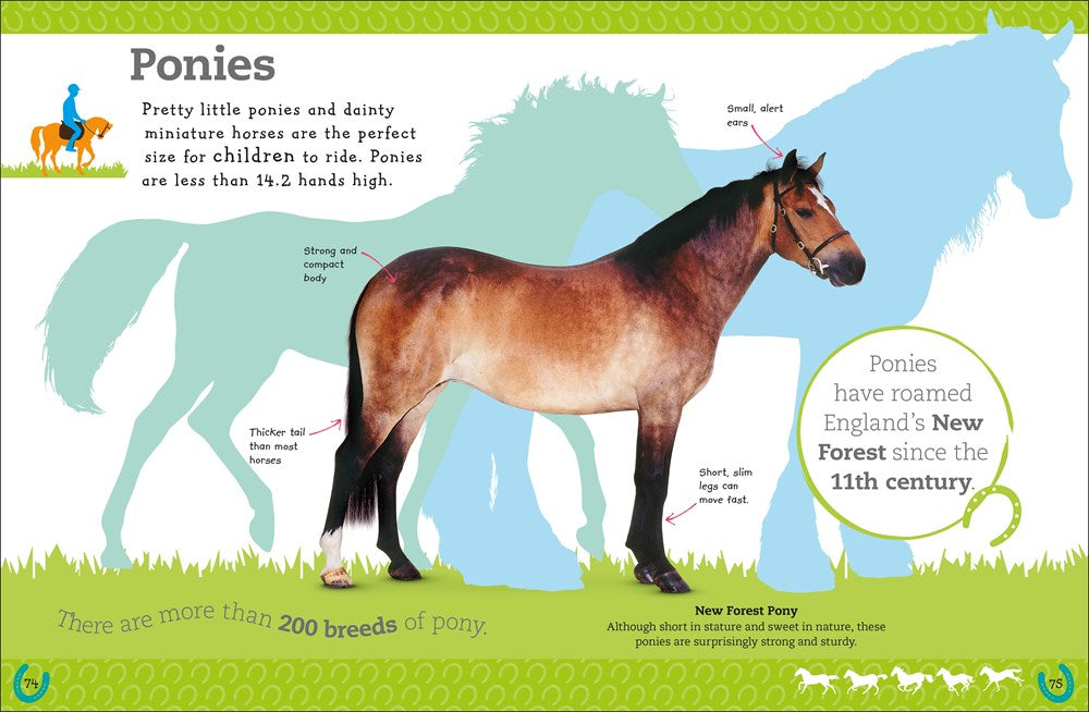 The Everything Book of Horses and Ponies (Everything About Pets)