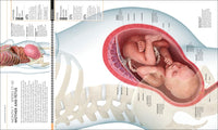 The Science of Pregnancy