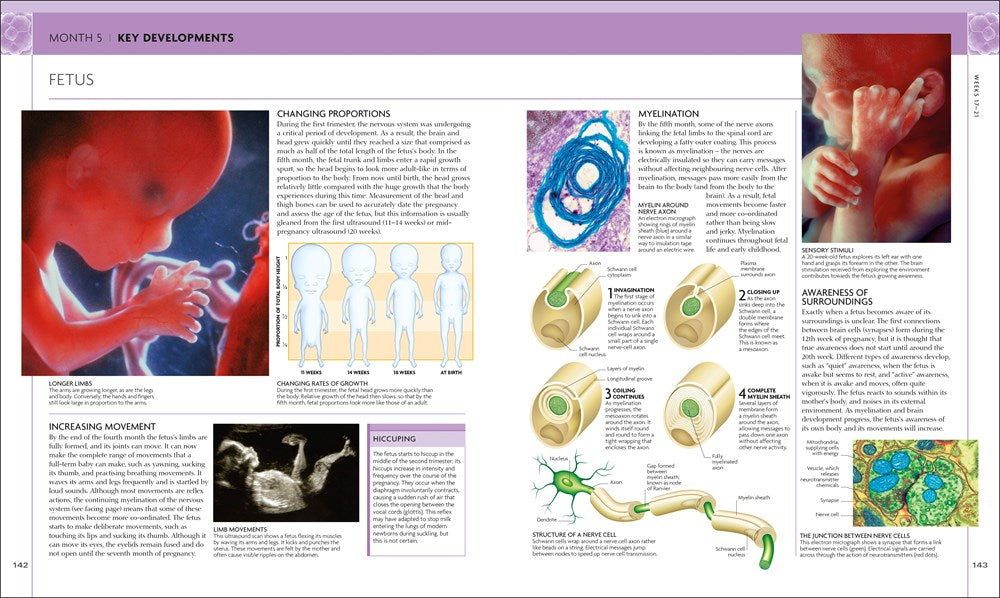 The Science of Pregnancy