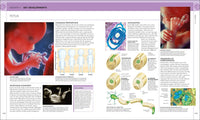 The Science of Pregnancy