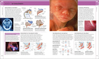 The Science of Pregnancy