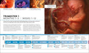 The Science of Pregnancy