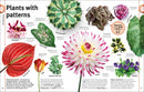 Trees, Leaves, Flowers and Seeds: A Visual Encyclopedia of the Plant Kingdom (DK Our World in Pictures)