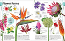 Trees, Leaves, Flowers and Seeds: A Visual Encyclopedia of the Plant Kingdom (DK Our World in Pictures)