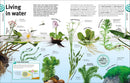 Trees, Leaves, Flowers and Seeds: A Visual Encyclopedia of the Plant Kingdom (DK Our World in Pictures)